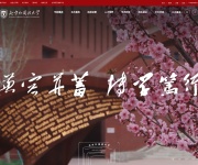 北京外国语大学 网站截图