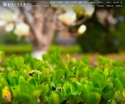 北京工商大学 网站截图