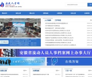安庆人才网 网站截图