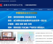 安徽冶金科技职业学院 网站截图