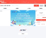 深圳人才网 网站截图