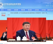 辽宁石化职业技术学院就业信息网 网站截图