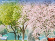 安徽新华学院 网站截图