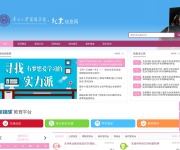 南开大学滨海学院就业信息网 网站截图