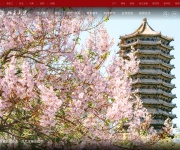 北京大学 网站截图