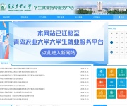 青岛农业大学学生就业指导服务中心 网站截图